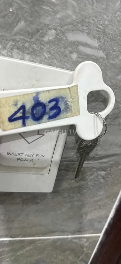 ảnh report
