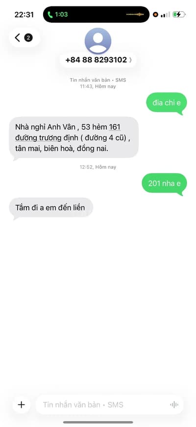 ảnh report