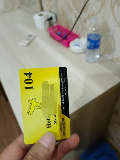 ảnh report