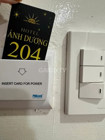 ảnh report