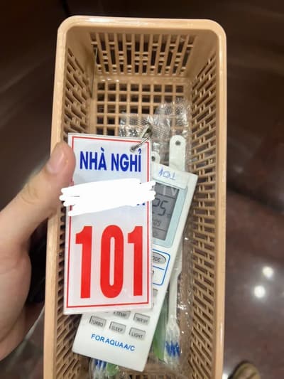ảnh report