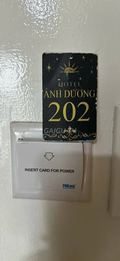 ảnh report