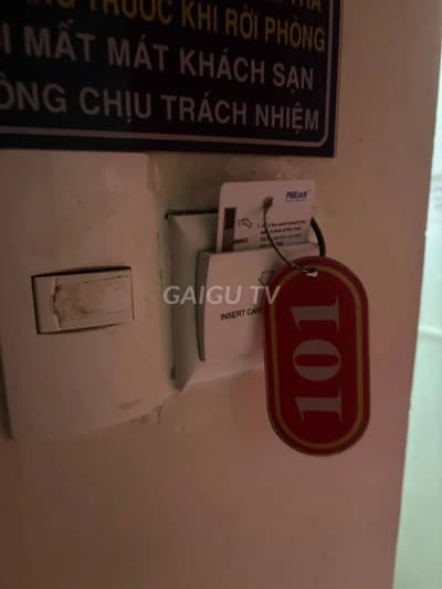 ảnh report