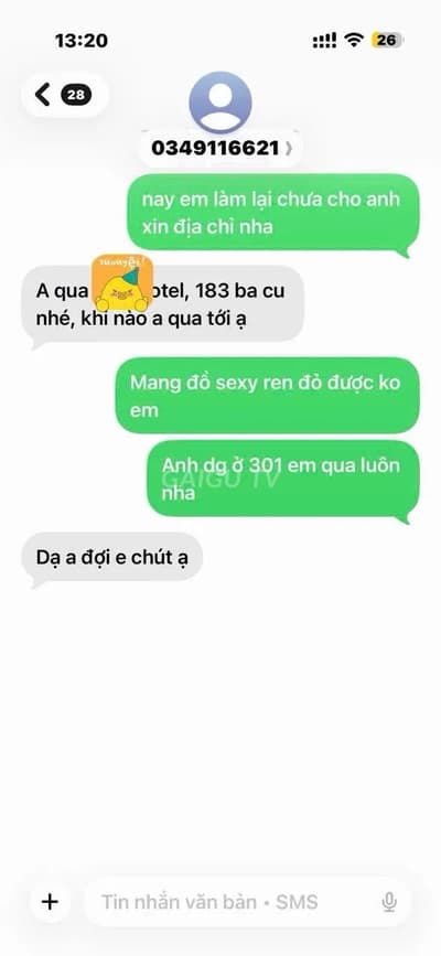 ảnh report