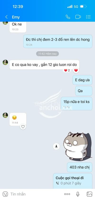 ảnh report