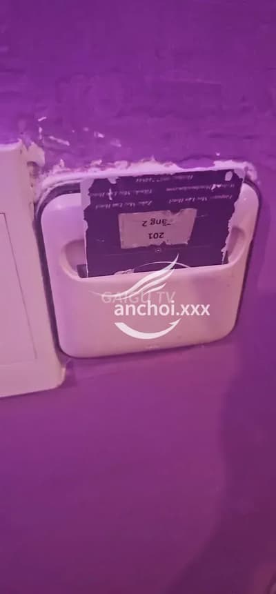 ảnh report