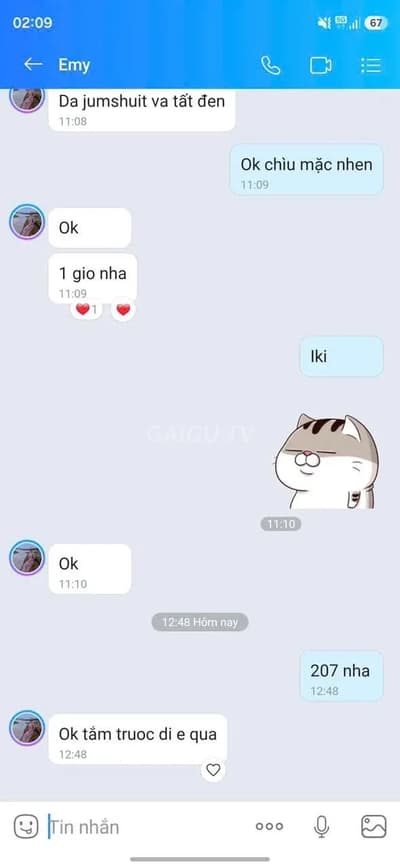 ảnh report