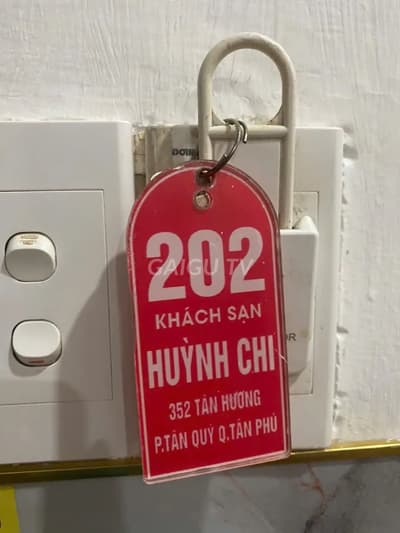 ảnh report