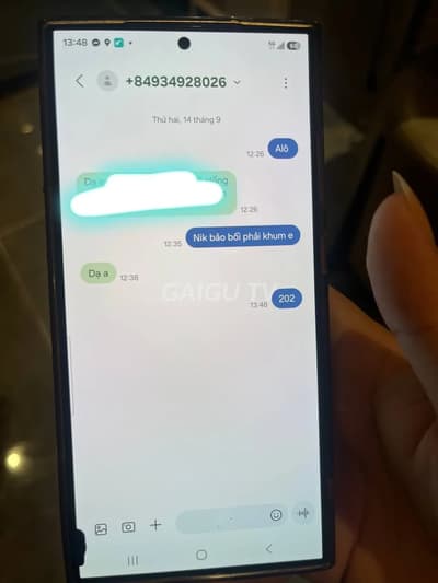 ảnh report