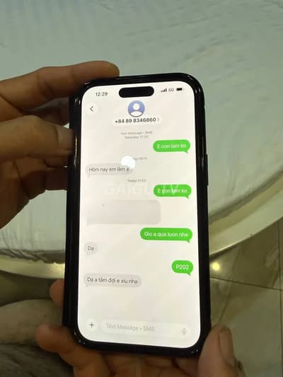 ảnh report