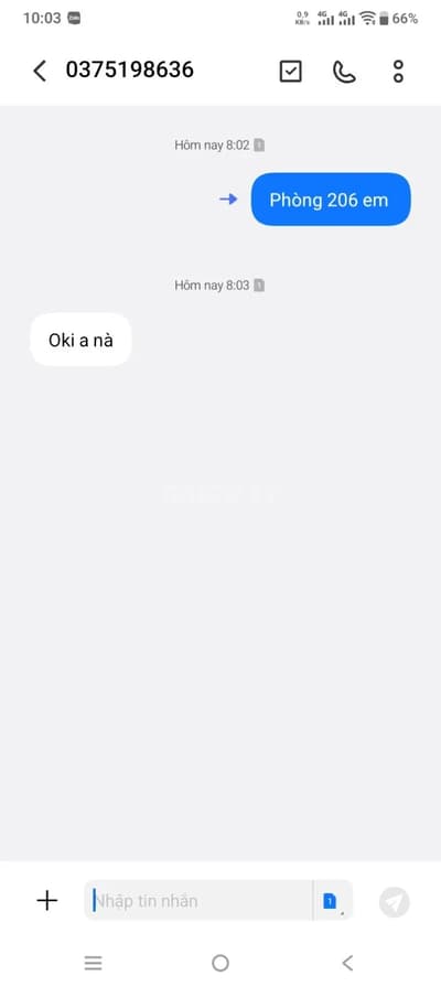 ảnh report