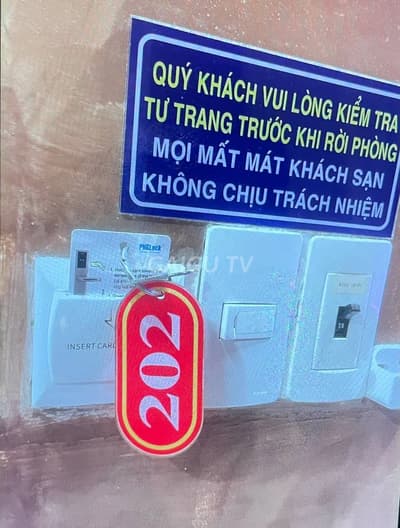 ảnh report