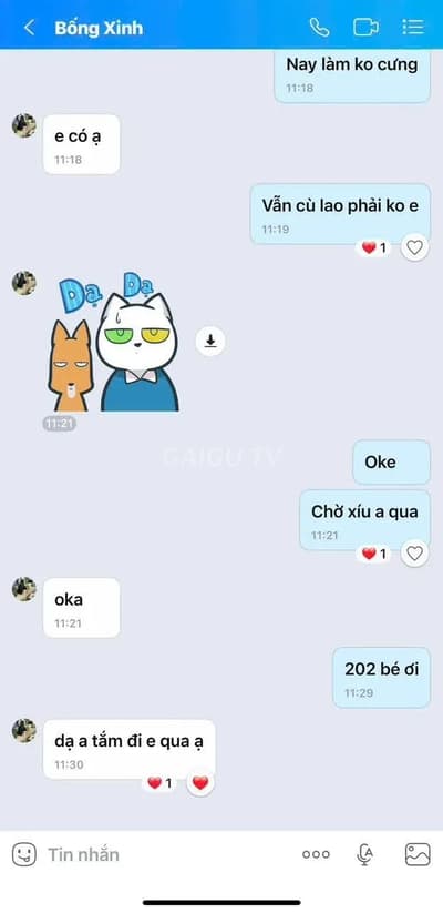 ảnh report