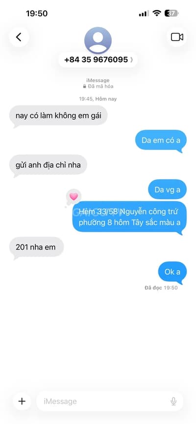 ảnh report