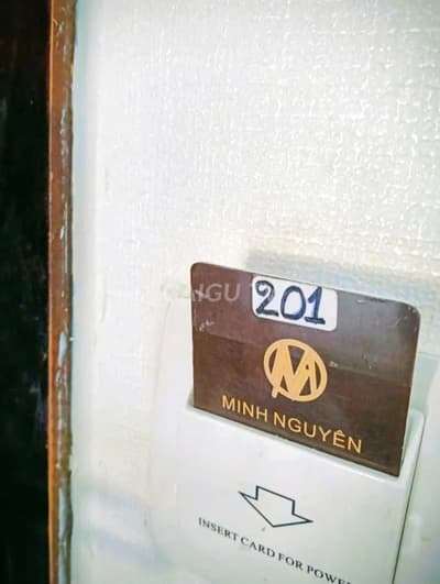 ảnh report