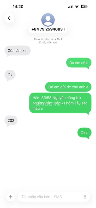 ảnh report