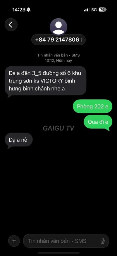 ảnh report