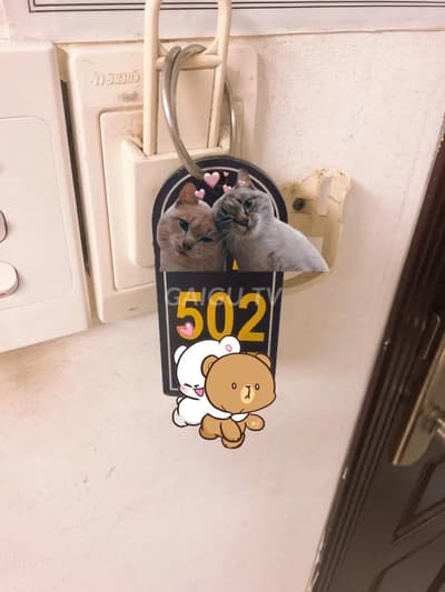 ảnh report