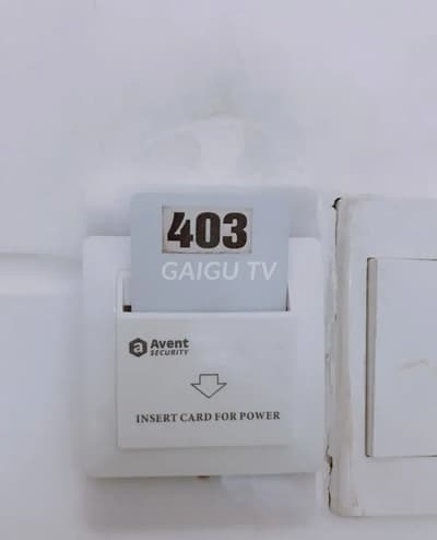 ảnh report