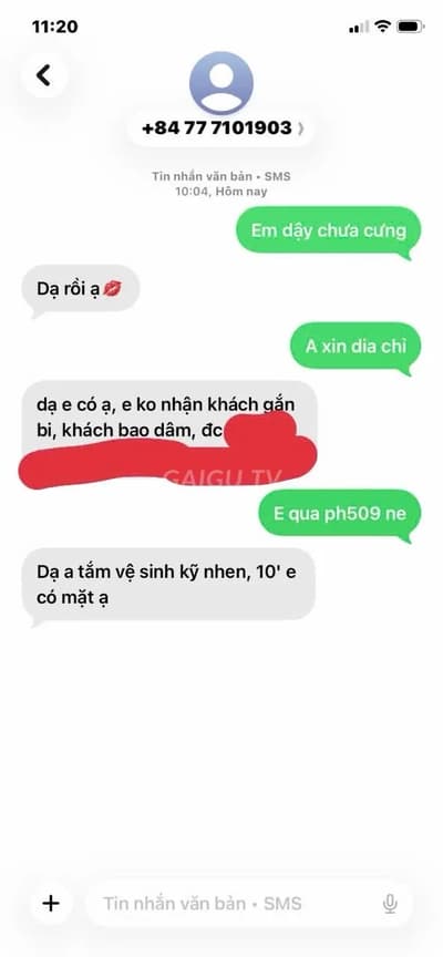 ảnh report