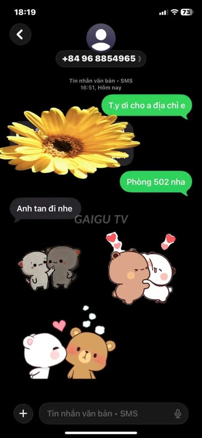 ảnh report