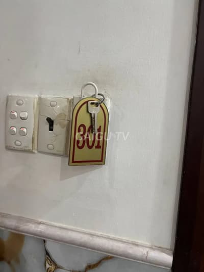 ảnh report