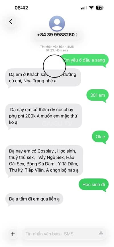 ảnh report